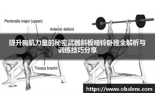 提升胸肌力量的秘密武器斜板哑铃卧推全解析与训练技巧分享